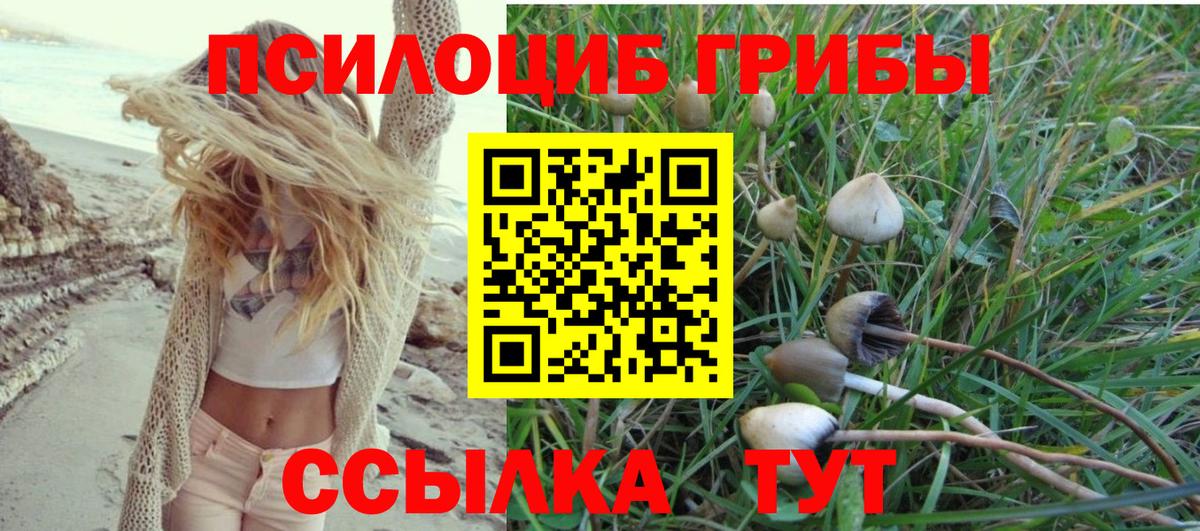 Якутск  Галлюциногенные грибы мицелий  Вход с VPN 